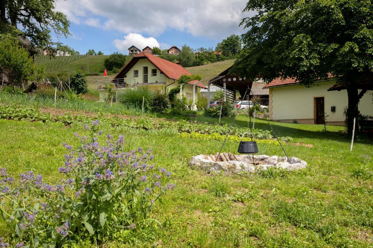 TrebnjeDomacija Vesel别墅 外观 照片